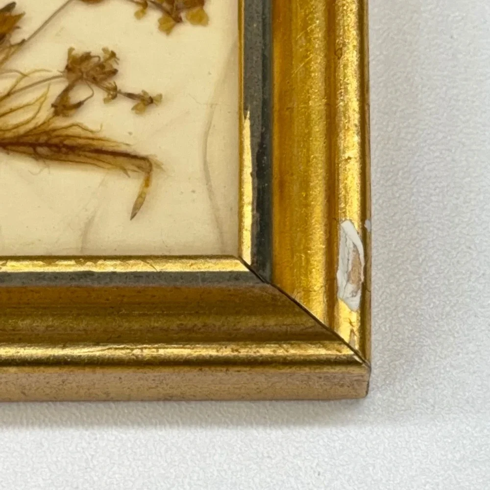 Vintage Dina West Germany Miniature Pressed Flower Art Gold‎ Frame 3.75